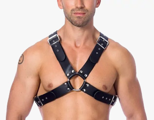 Bondage harness