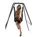 Lovers Swing With Stand Lovers Swing With Stand