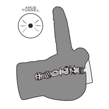 Masturbator Streetgirl's 14 mit Dildo - Hautfarbe